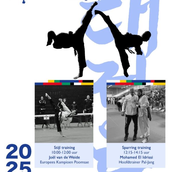 Districtstraining stijl & sparring 26 januari